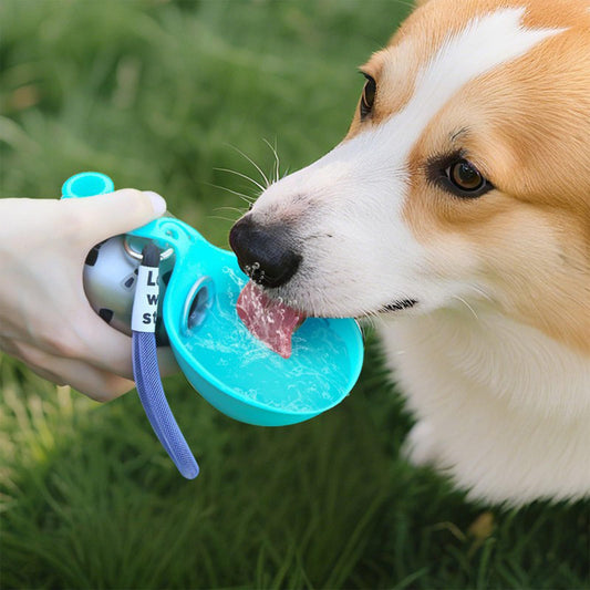 Collapsible Stainless Steel Silicone Pet Water Bowl