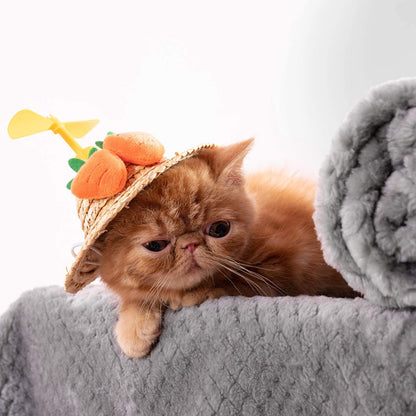 Pet blanket