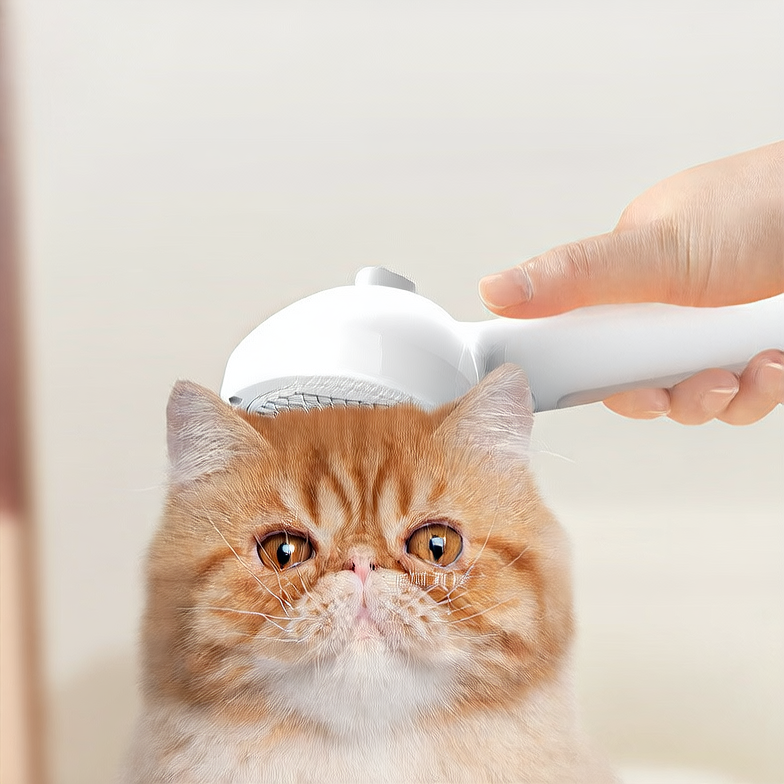 Pet hairbrush without water