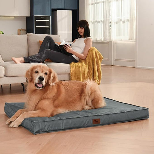 Orthopedic Memory Foam Dog Bed with Removable Cover