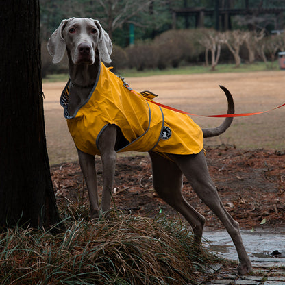 Waterproof Dog Raincoat for Outdoor Use
