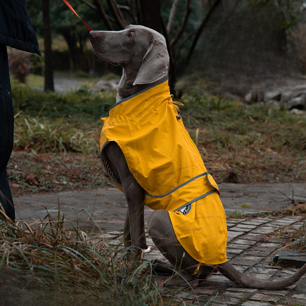 Waterproof Dog Raincoat for Outdoor Use