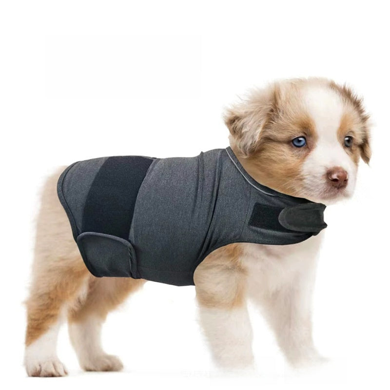 Pet Anxiety Vest
