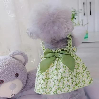 Pet Clothes Cat Lady Dress