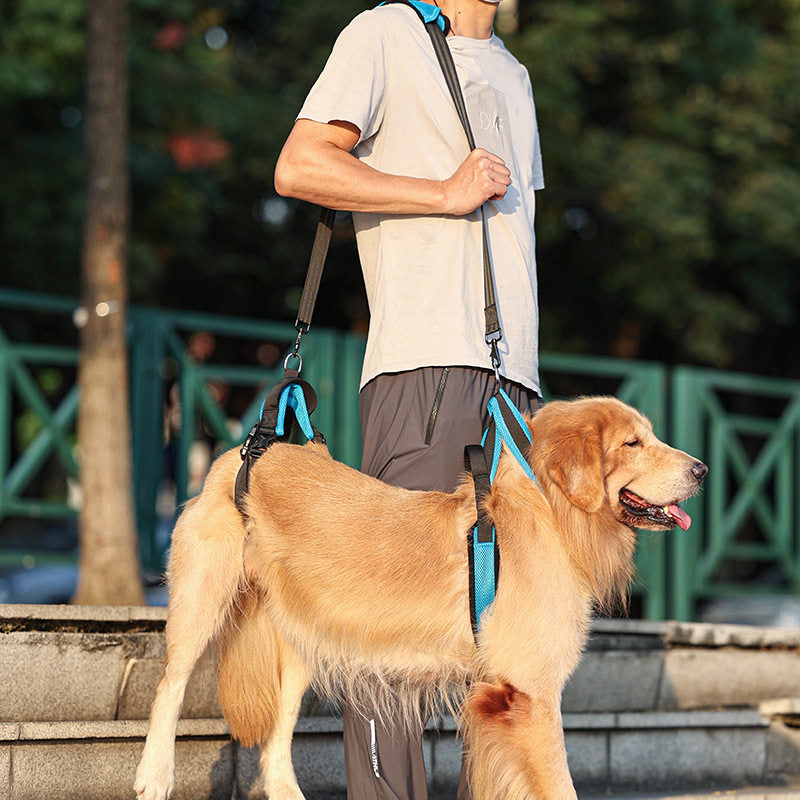 Adjustable Dog Support Harness for Elderly or Injured Pets