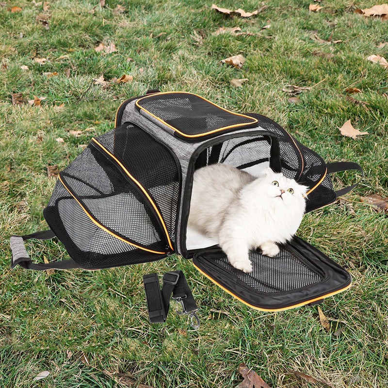 Portable Expandable Pet Carrier Tote for Small Dogs and Cats