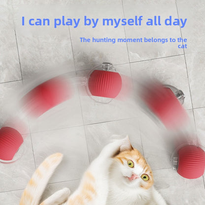 Automatic Electric Rolling Pet Toy Ball