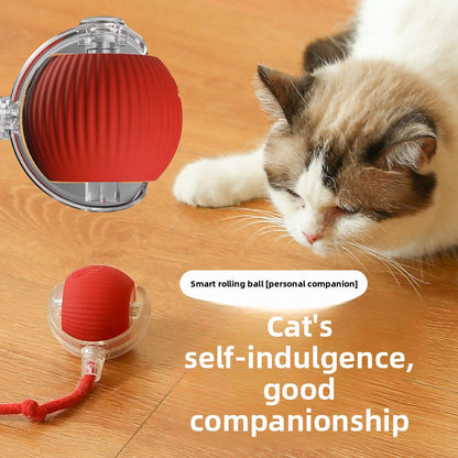 Automatic Electric Rolling Pet Toy Ball