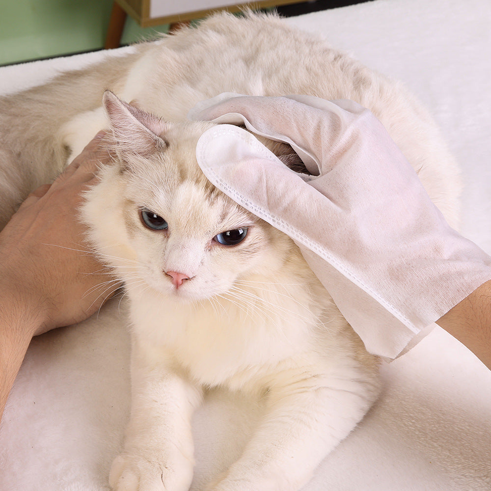 Disposable Pet Cleaning and Grooming Gloves