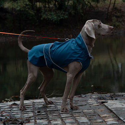 Waterproof Dog Raincoat for Outdoor Use