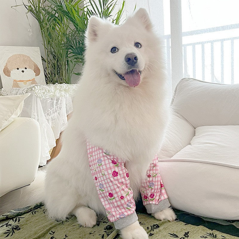 Dog Elbow and Knee Pads with Matching Hats for Medium Large Breeds