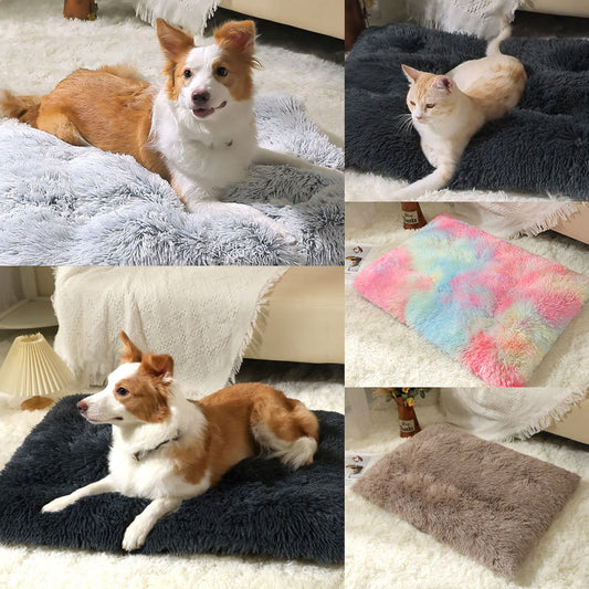 Pet Mat